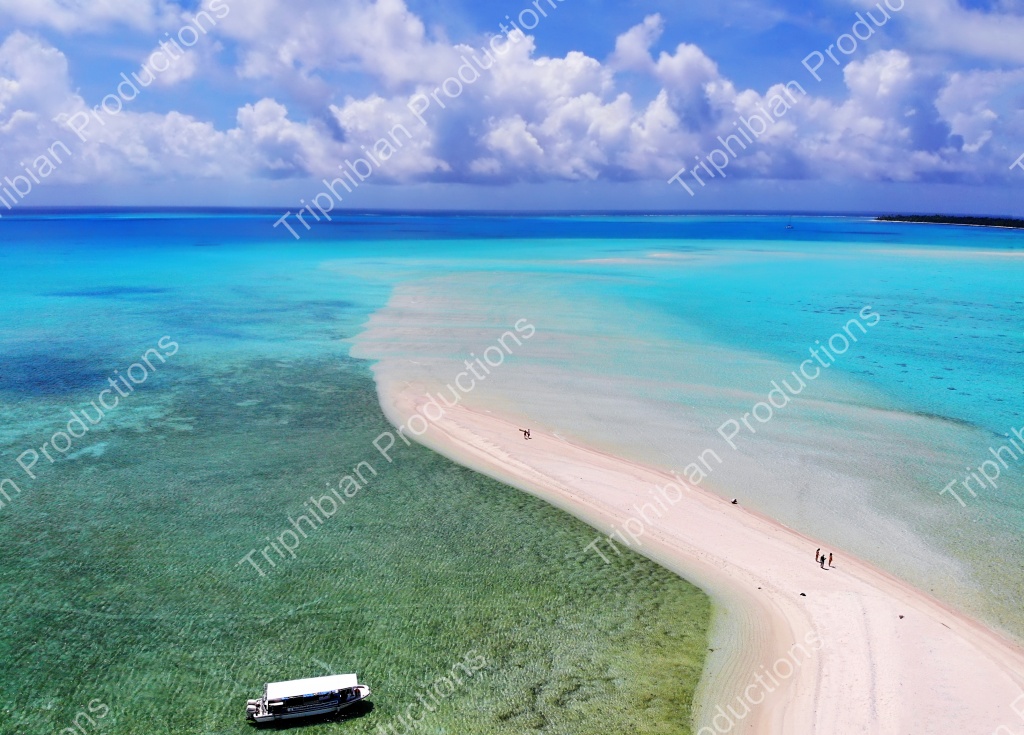 Thumb_ROR_AR_0547-1.jpg